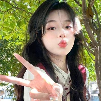 口碑新剧
